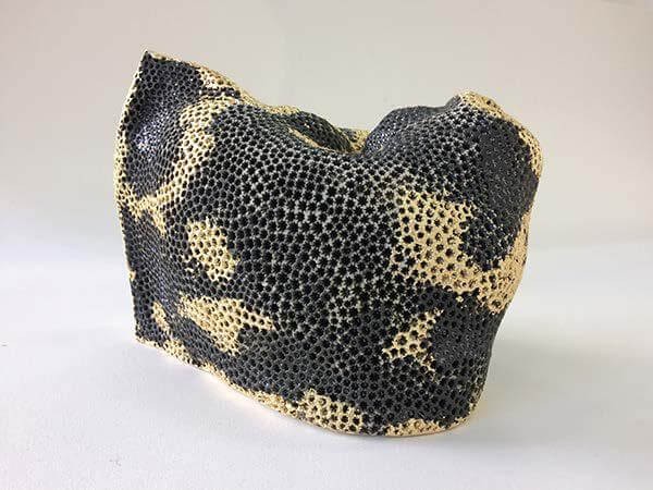 romuald_dumas-jandolo_les_caprices_du_comportement_ceramique_2017