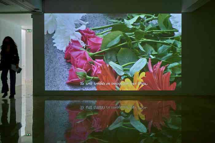 silina_syan_ils_sont_tombes_video_2021_vue_d_exposition_construire_sa_pretendue_villa_arson_nice_jc_lett