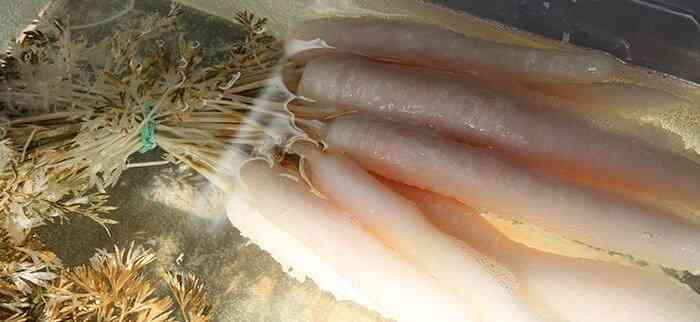 5_tim_simonds_vue_de_l-atelier_novembre_2016