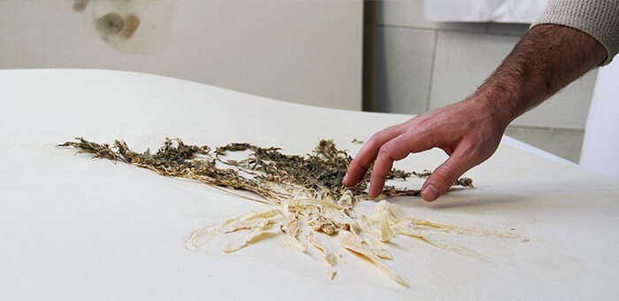 4_tim_simonds_vue_de_l-atelier_novembre_2016