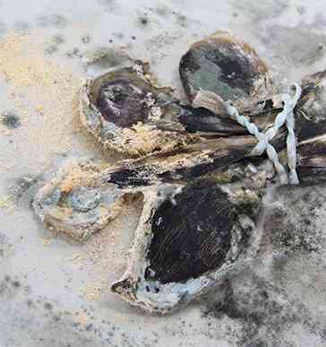 3_tim_simonds_vue_de_l-atelier_novembre_2016