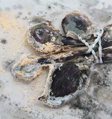 3_tim_simonds_vue_de_l-atelier_novembre_2016