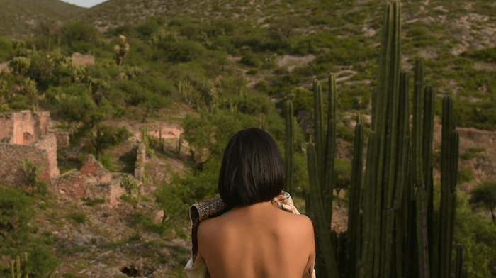 vir_andres_hera_negrillas_kuiloni_video_hd_2019