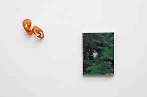 zoe_de_soumagnat_colour_my_deck_2013_image_contrecollee_sur_bois_ecorce_dorange_sechee_21x28cm