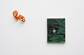 zoe_de_soumagnat_colour_my_deck_2013_image_contrecollee_sur_bois_ecorce_dorange_sechee_21x28cm