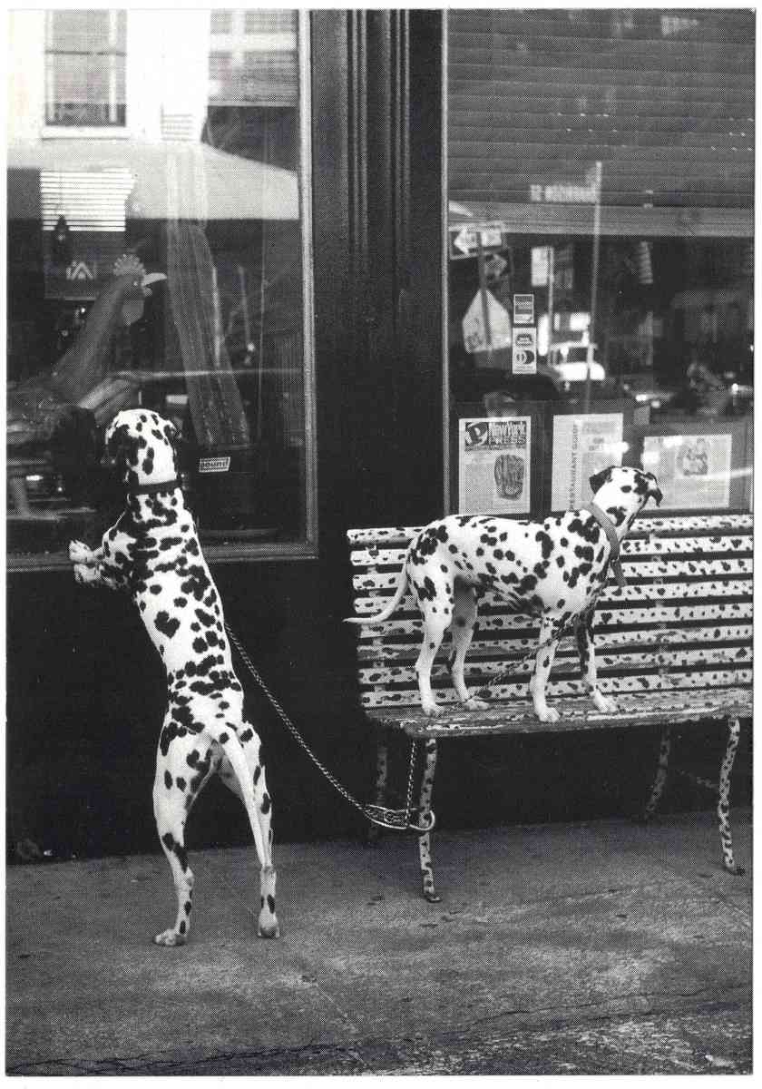 1_111997_action-man-oeuvre_carton