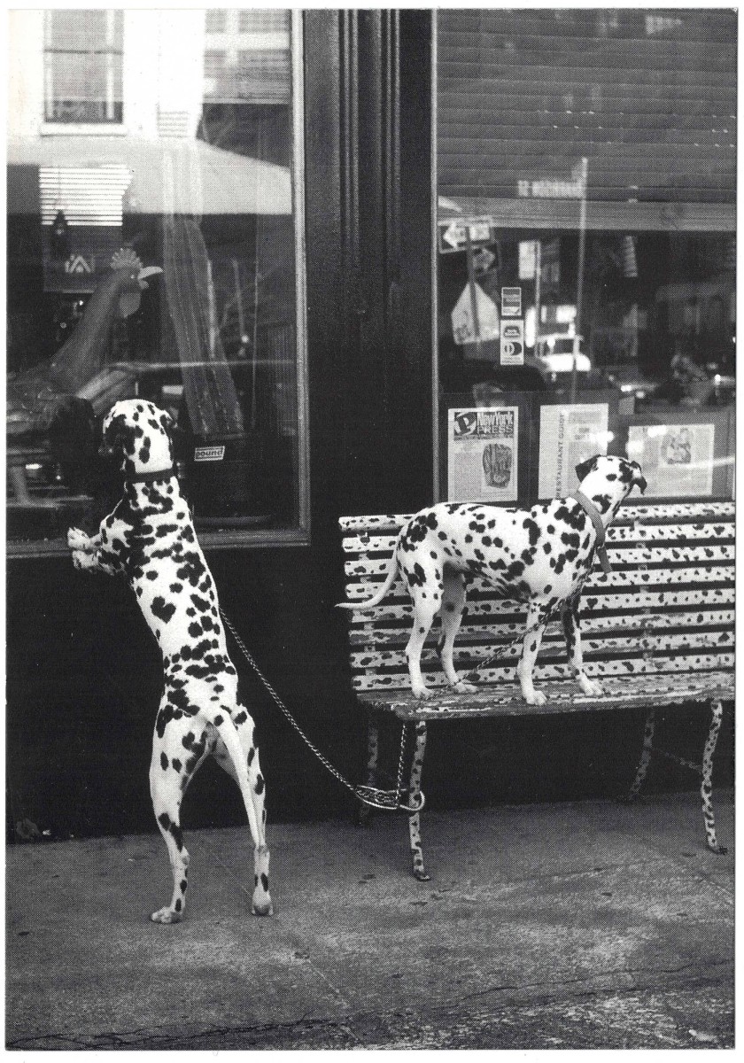 1_111997_action-man-oeuvre_carton