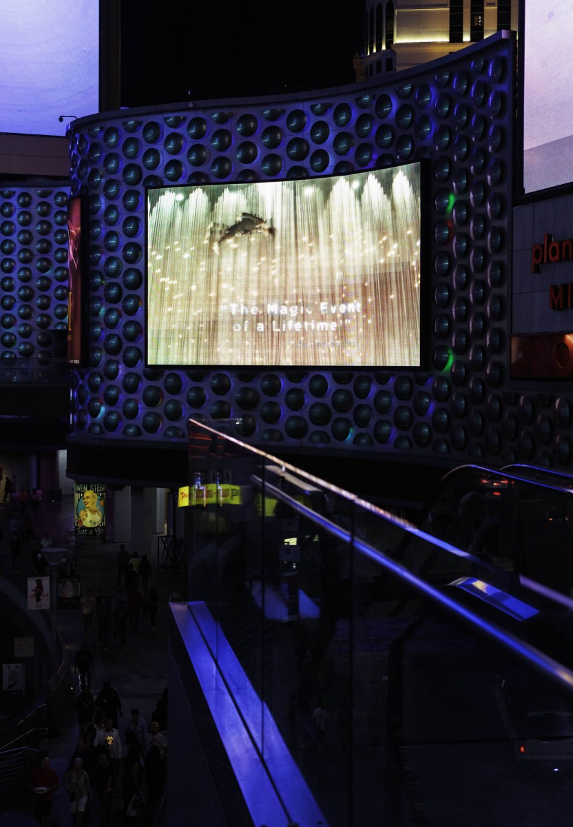 amara_higuera_hopping_the_magic_event_of_a_lifetime_las_vegas_nevada_2019