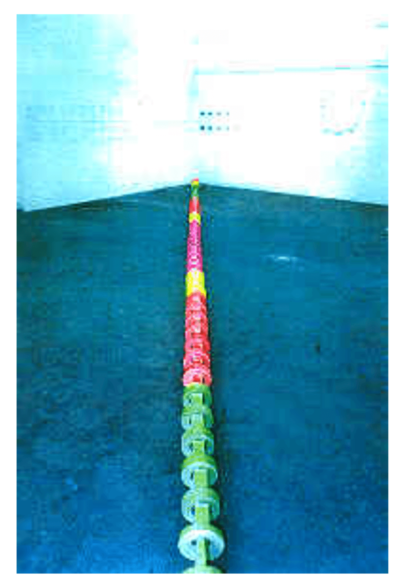 1998_all_or_nothing_birgit_ramsauer_photo_karin_desmarowitz_11