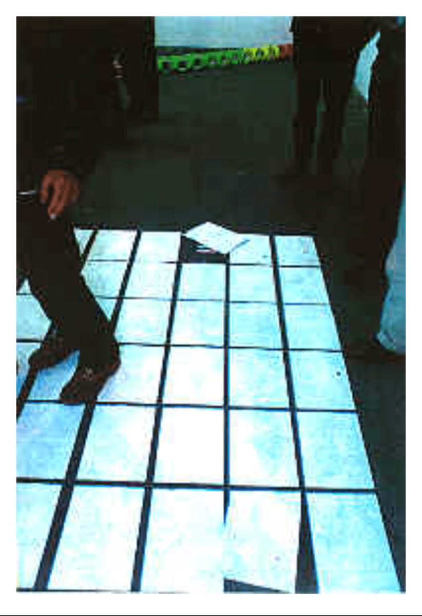 1998_all_or_nothing_birgit_ramsauer_photo_karin_desmarowitz_8