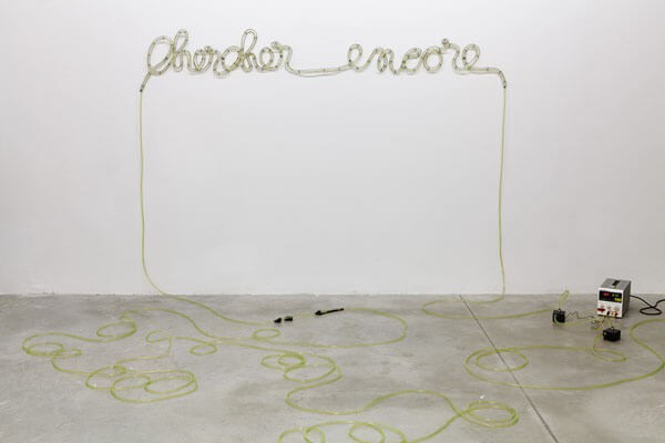 2015_asterides_apres_avoir_tout_oublie_jc_lett_14