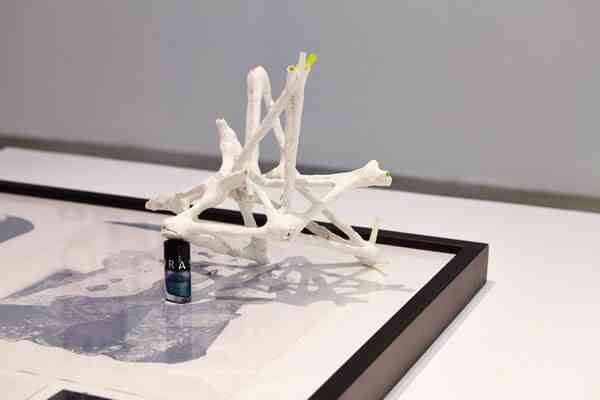 2015_asterides_apres_avoir_tout_oublie_jc_lett_12