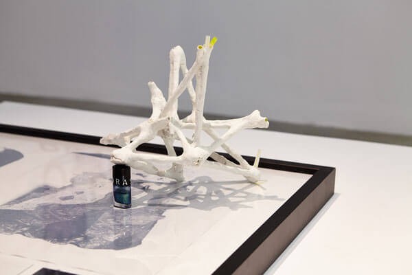 2015_asterides_apres_avoir_tout_oublie_jc_lett_12