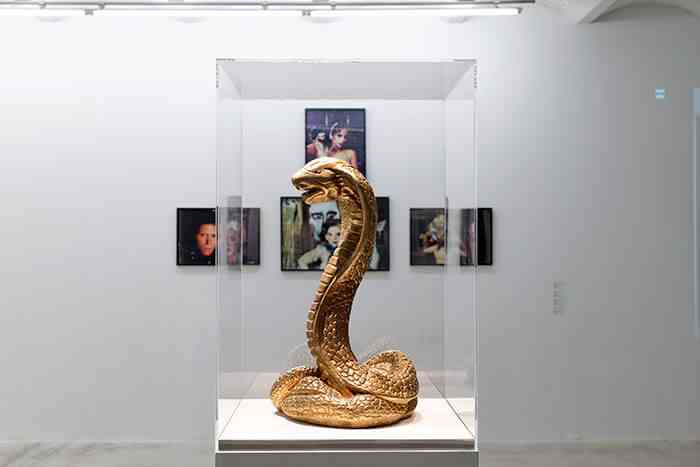 14_asco_and_friends_exiled_portraits_vue_d_exposition_triangle_france_marseille_2014_aurelien_mole