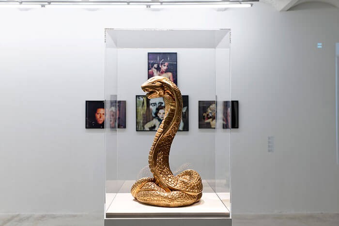 14_asco_and_friends_exiled_portraits_vue_d_exposition_triangle_france_marseille_2014_aurelien_mole