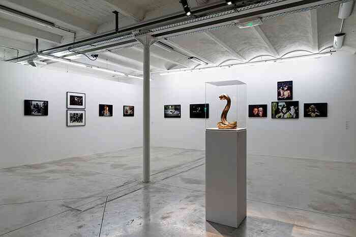 12_asco_and_friends_exiled_portraits_vue_d_exposition_triangle_france_marseille_2014_aurelien_mole