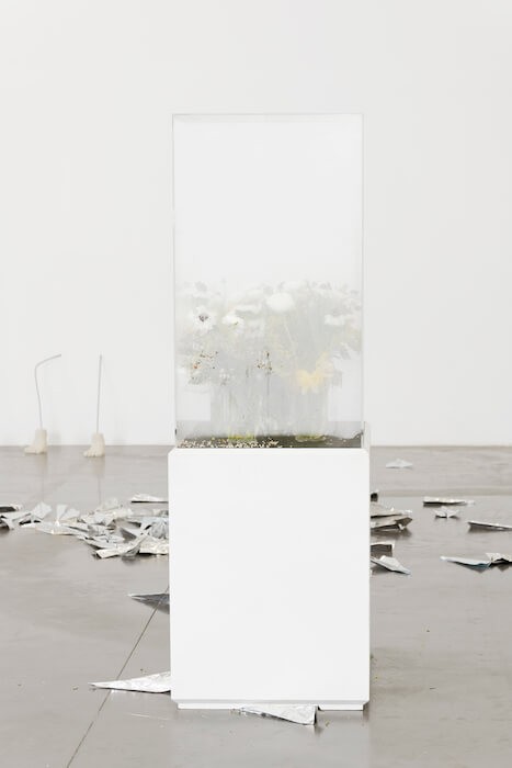 3_jesse_darling_creve_exposition_personnelle_triangle_france_asterides_friche_la_belle_de_mai_marseille_2019_credit_photo_aureli