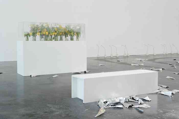 10_jesse_darling_creve_exposition_personnelle_triangle_france_asterides_friche_la_belle_de_mai_marseille_2019_credit_photo_aurel