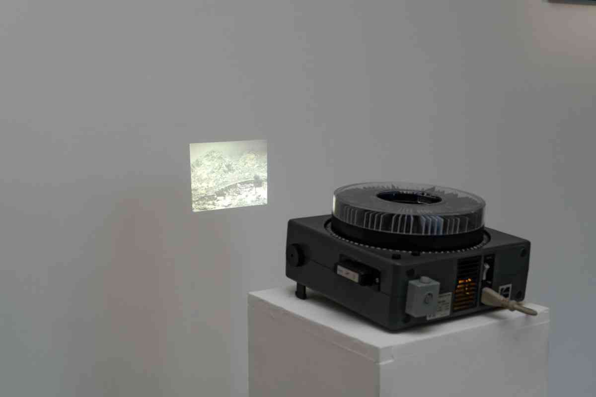 web_en-attendant-omar-gatlato-046