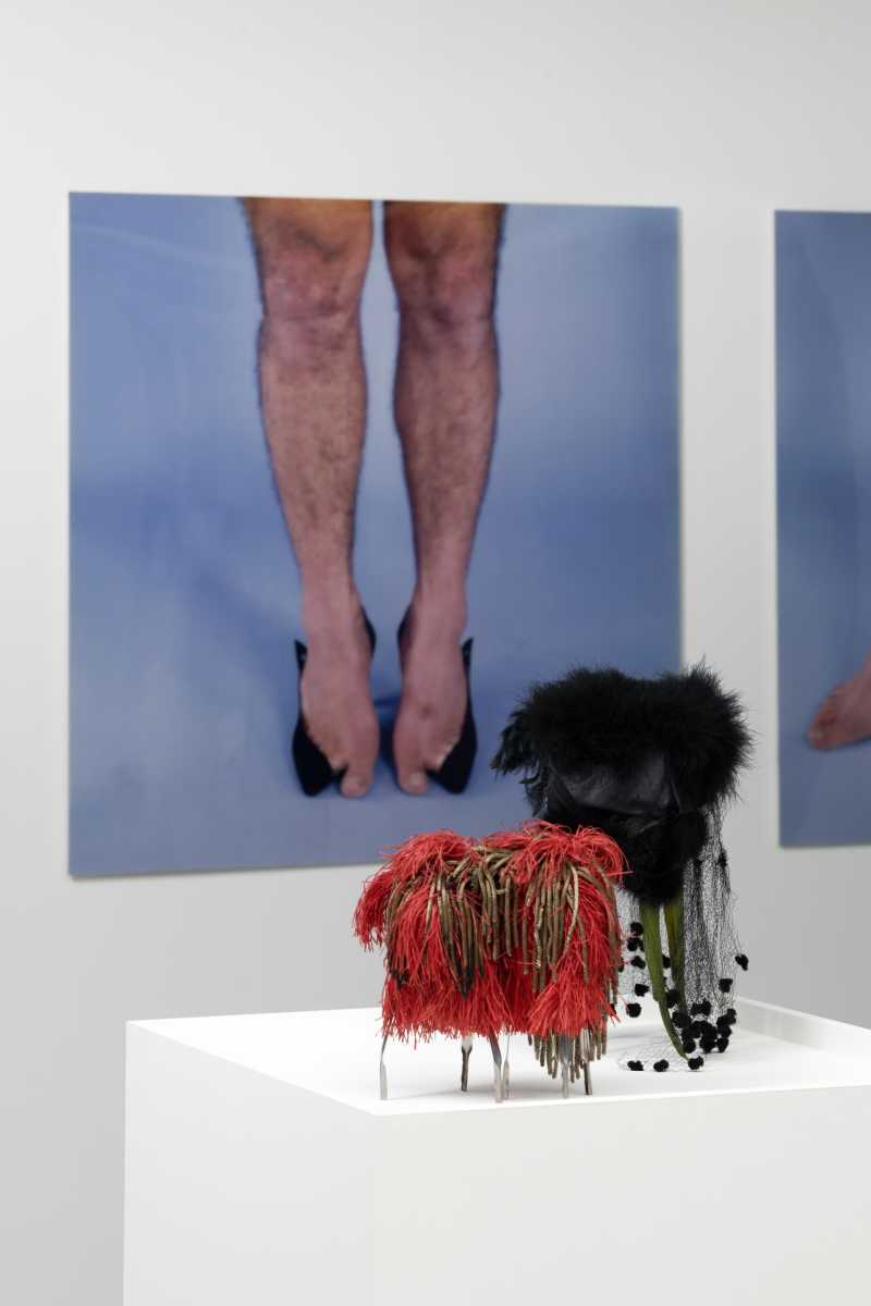 2024-06_triangle-asterides_hymne-aux-murenes_vue-d-exposition_aurelien-mole_6