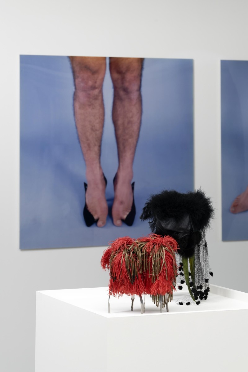 2024-06_triangle-asterides_hymne-aux-murenes_vue-d-exposition_aurelien-mole_6