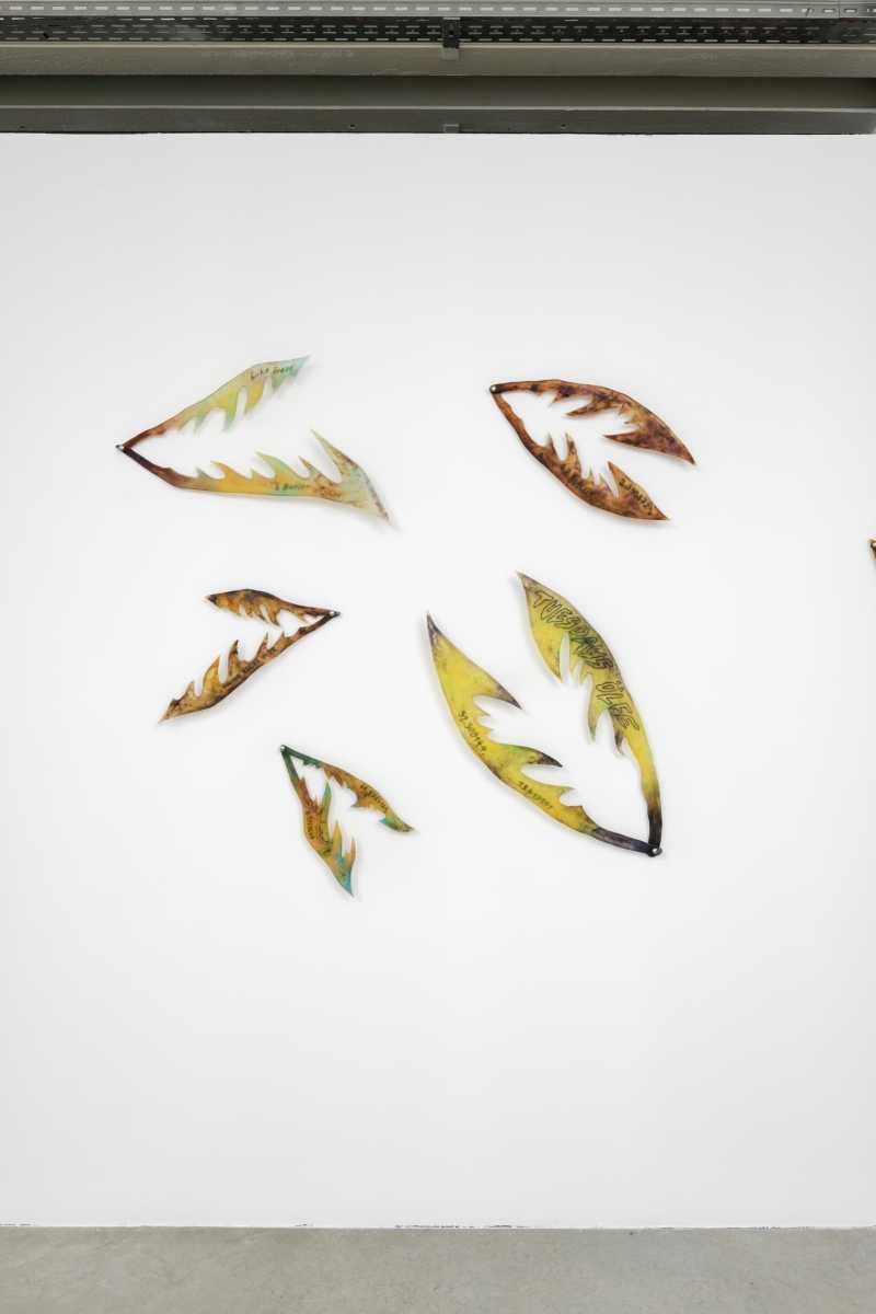 2024-06_triangle-asterides_hymne-aux-murenes_claude-eigan_pissed-serie-_2021-toujours-en-cours_aurelien-mole