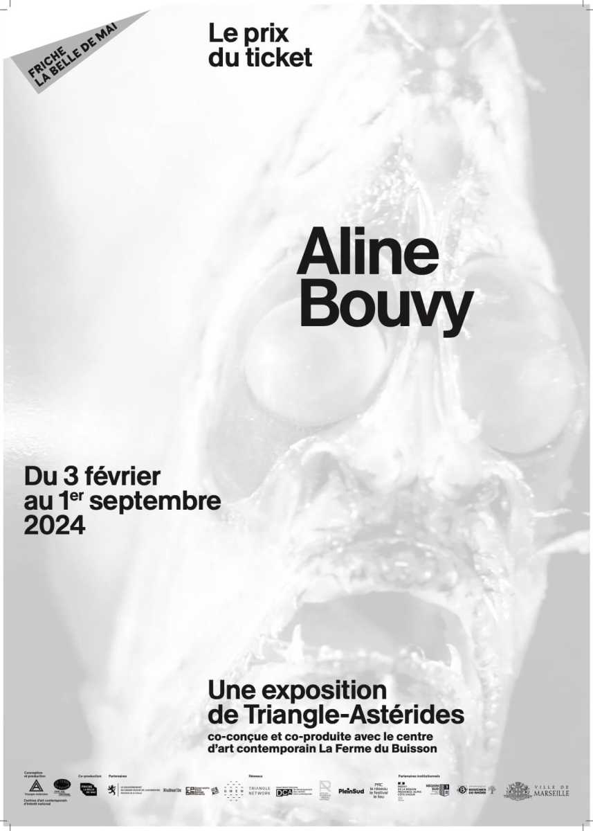 20240412_trianglebouvy-affiche-a2-traitscoupe-copie