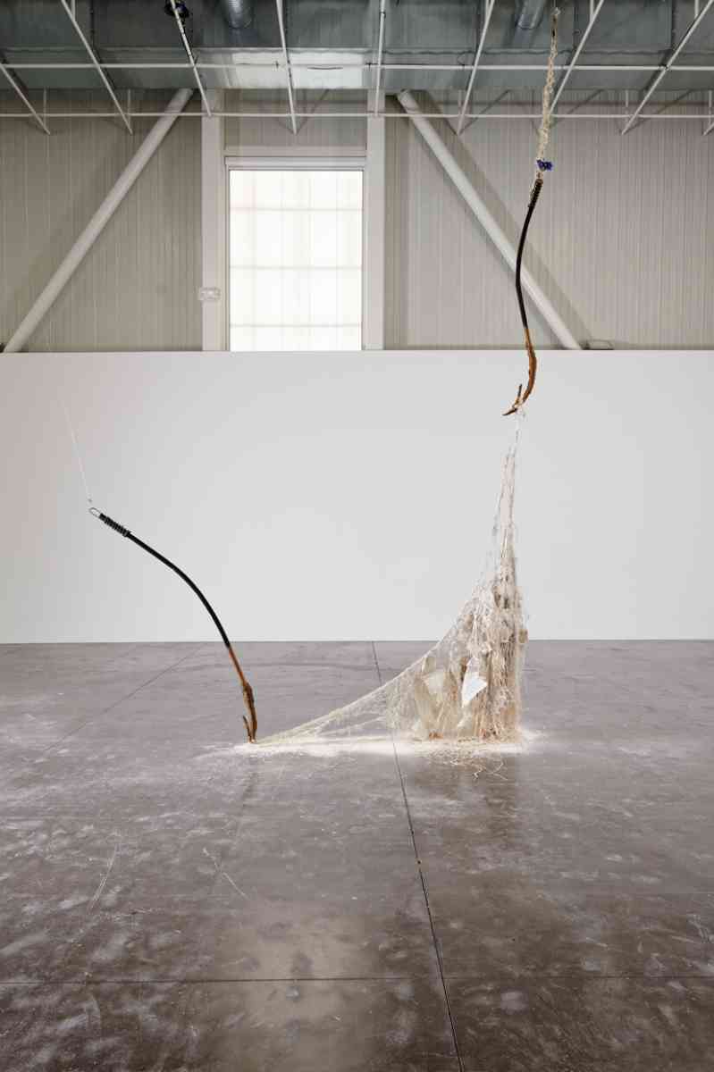 triangle-2022-dominique-white-001