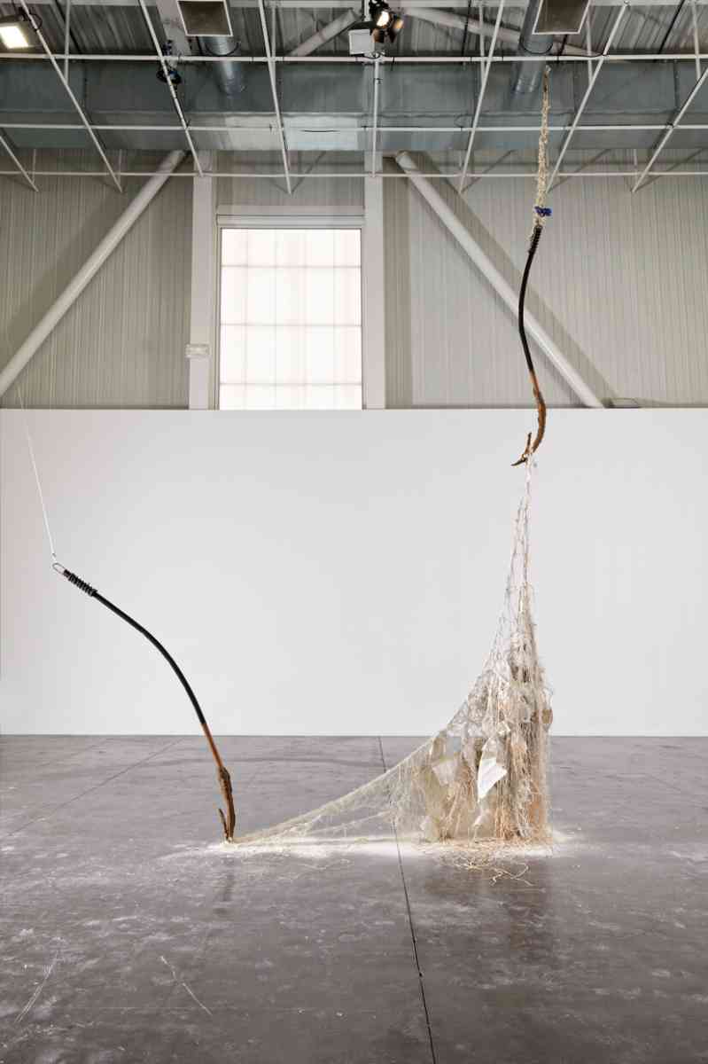 triangle-2022-dominique-white-019