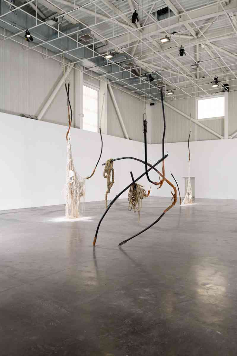 triangle-2022-dominique-white-045