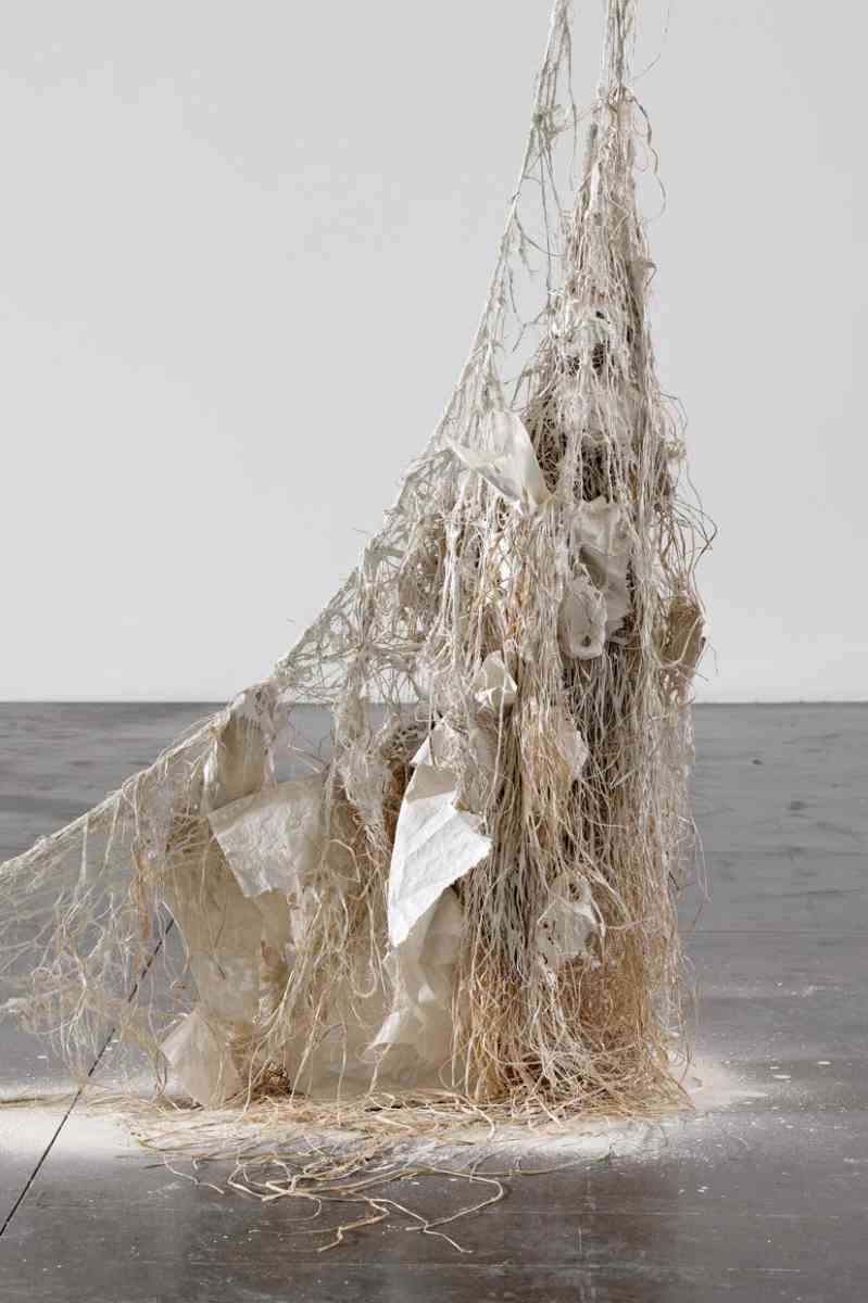 triangle-2022-dominique-white-003