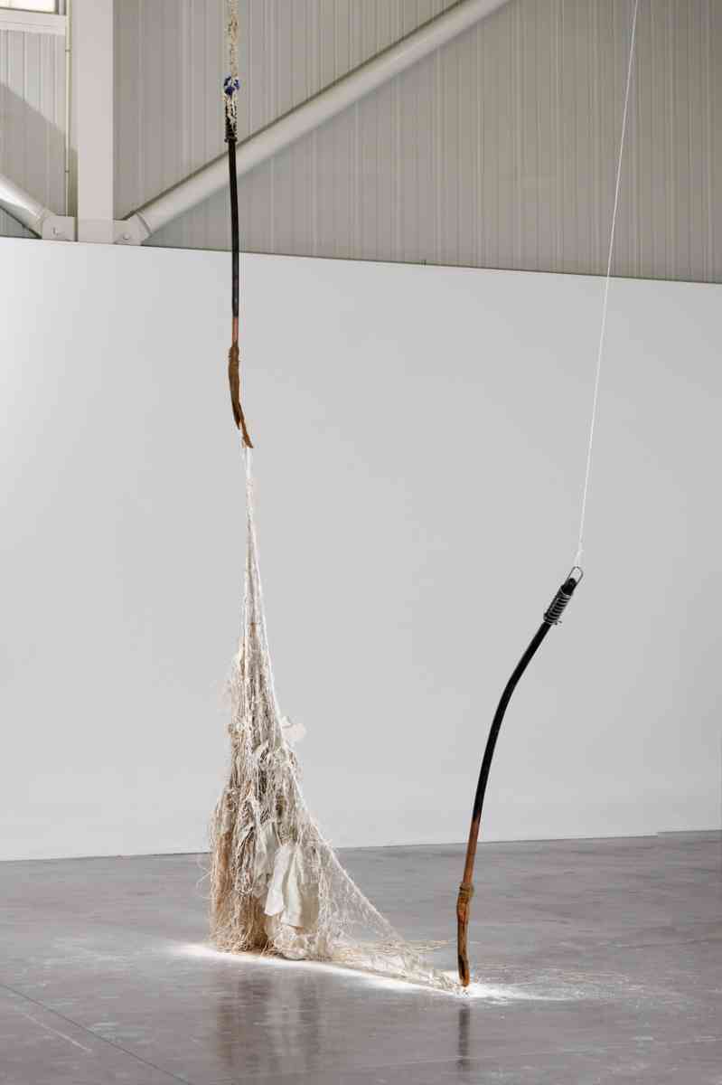 triangle-2022-dominique-white-022