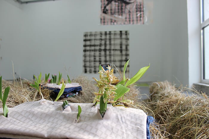 2_benjamin_blaquart_2015