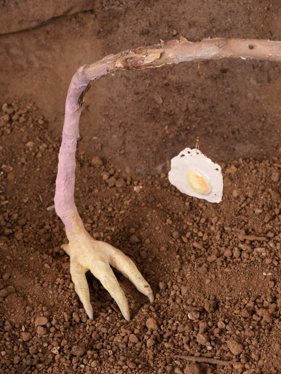 18_triangle2025-madison-bycroft-053_bd