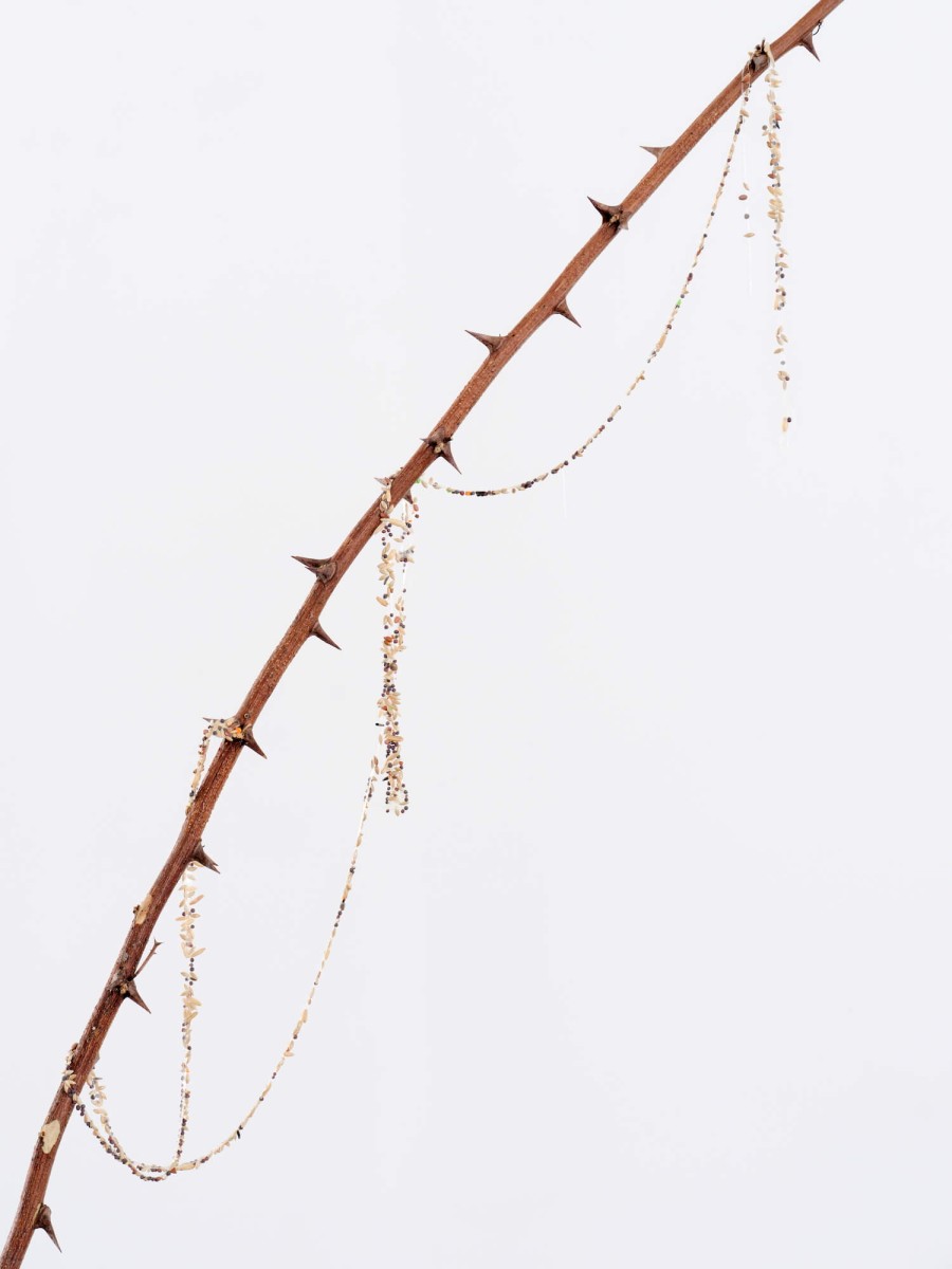 7_triangle2025-madison-bycroft-072_bd