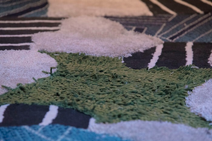 4_maya_beaudry_mold_gardens_on_the_ornemental_membrane_vue_d_exposition_maison_de_ventes_leclere_2017_2018_james_ruffato