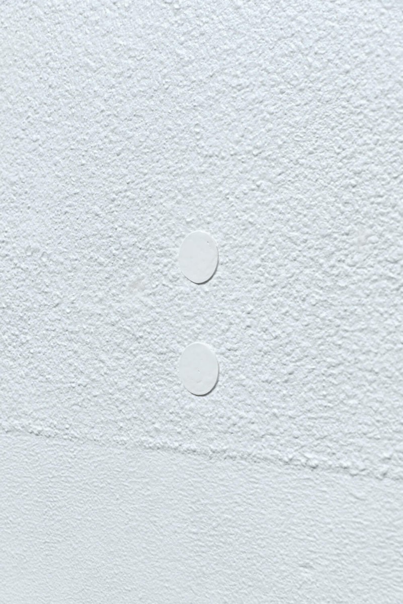 triangle-ntpslf-2014-036