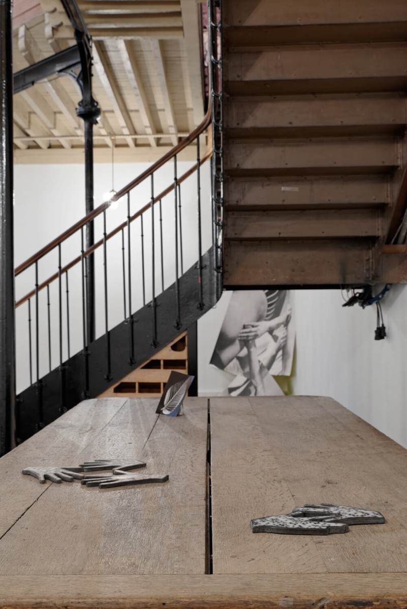 triangle-ntpslf-2014-008