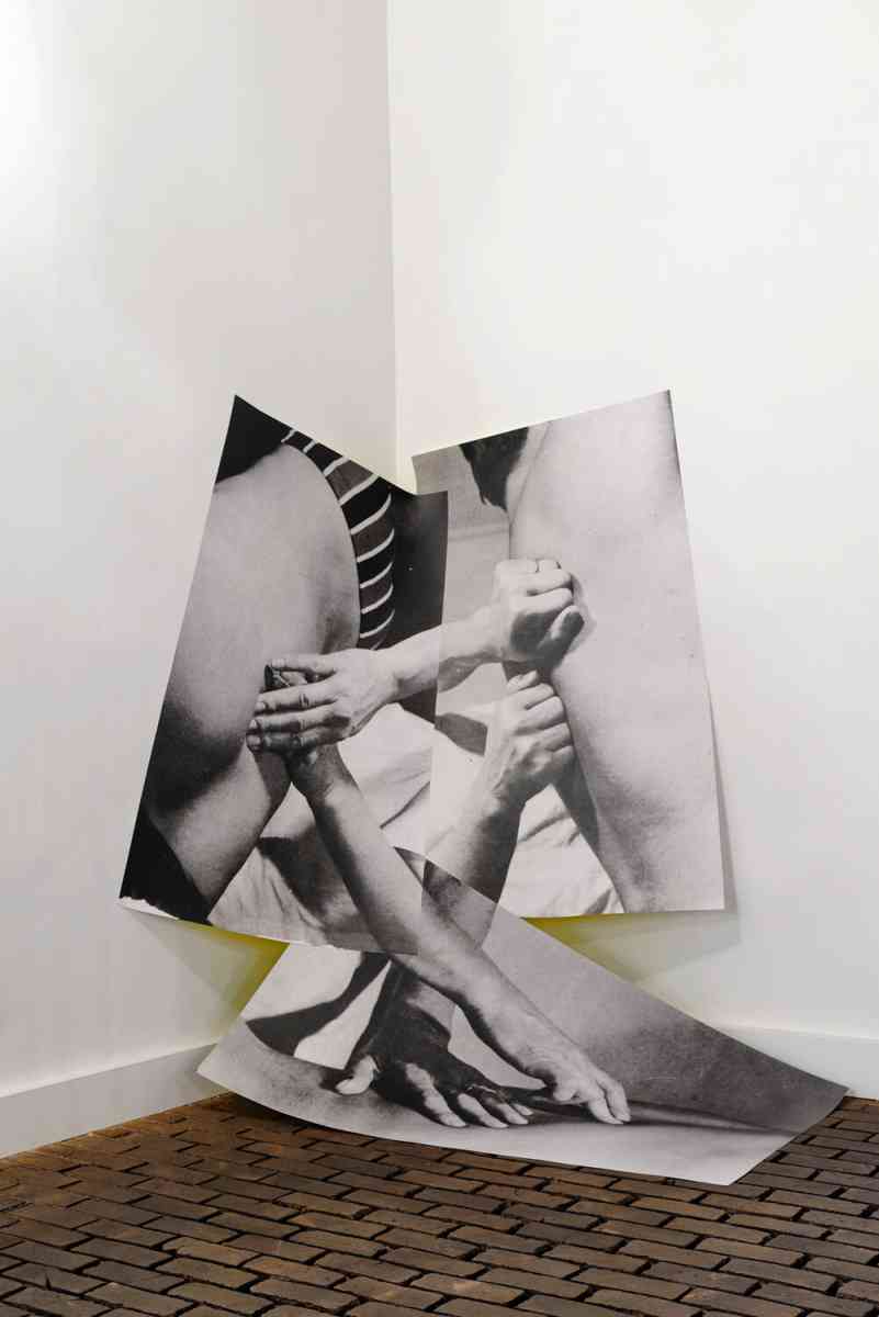 triangle-ntpslf-2014-003