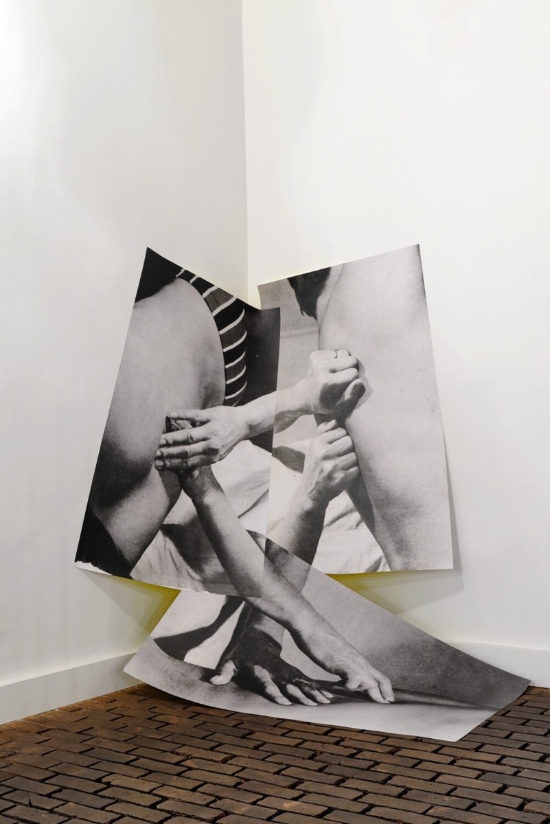 triangle-ntpslf-2014-003