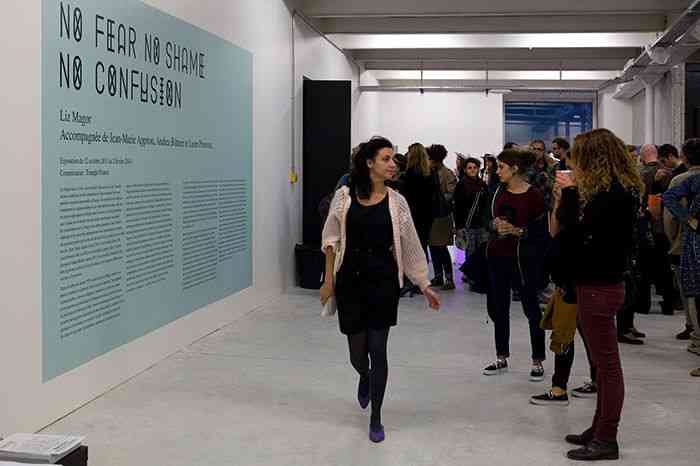 2013_vernissage_finissage_no_fear_no_shame_no_confusion_5