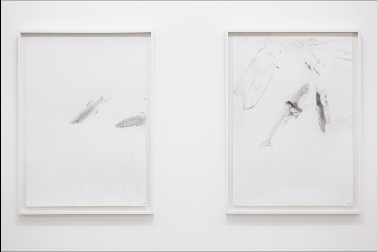 vue_d_exposition_pop_up_2014_asterides_jc_lett_11