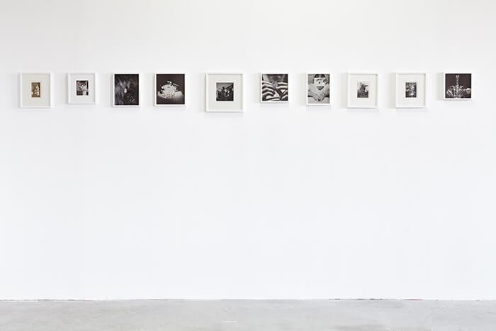 karine_rougier_en_collaboration_avec_valerie_pelet_touching_the_nature_of_fire_2017_vue_d_exposition_prix_des_avm_2017_jc_lett