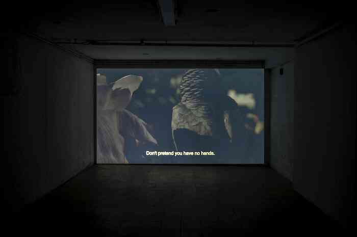 aurelien_potier_fake_there_must_be_something_behind_it_video_10_min_2017_19