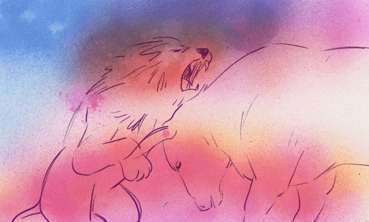 visuel-communication