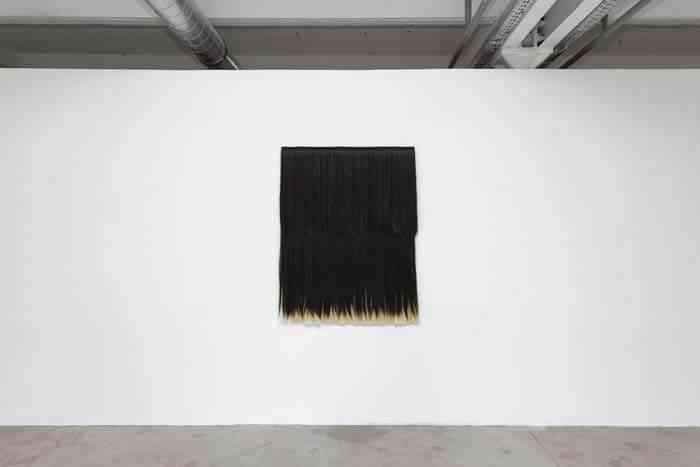 pauline_boudry_renate_lorenz_wig_piece_entangled_phenomena_i_2017_courtesy_galerie_marcelle_alix_vue_vdsln_triangle_friche_bdm_2