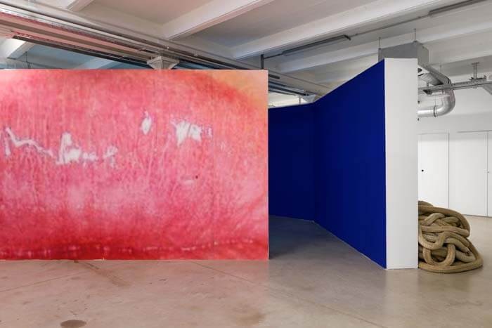 3_vue_d_exposition_vos_desirs_sont_les_notres_triangle_france_friche_la_belle_de_mai_2018__aurelien_mole