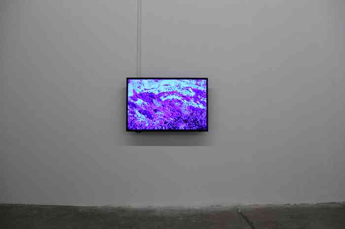 5_vue_d_exposition_wicked_problem_2016_triangle_france