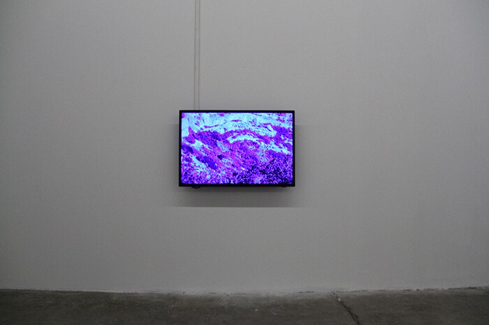 5_vue_d_exposition_wicked_problem_2016_triangle_france