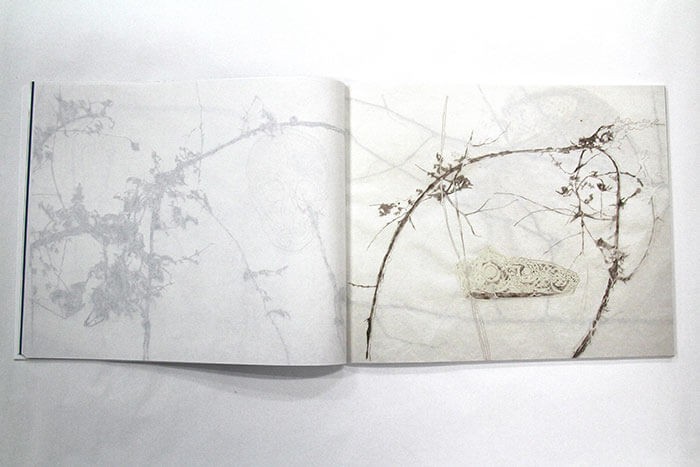 2007_anne-laure_sacriste_4